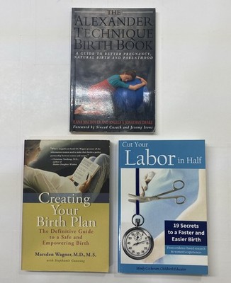 Childbirth & Pregnancy - 3 Books Birth Plan, Labor, Alexander Technique UNMARKED