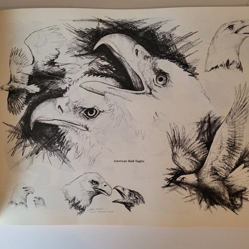 Doug Lindstrand's Alaskan Sketchbook Signed, 1979 Van Cleave Printing, GOOD, PBK - Picture 6 of 11