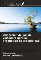 Milena Tomic (U. A.) | UtilizacióN De Gas De Vertedero Para La ProduccióN De...