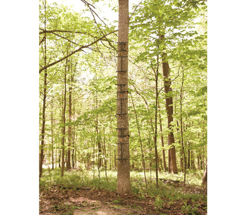 Portable 32" Climbing Sticks Outdoor Hunting Sport Tree Stand Ladder Step 3/Pack