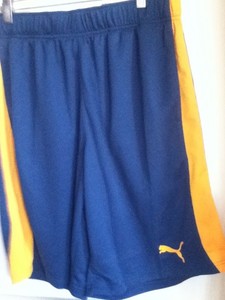 puma formstripe shorts