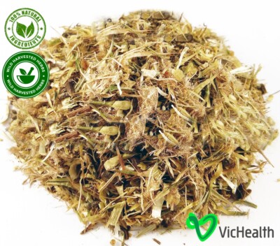 Milk thistle flower Tea Herbal for liver and prostate, Onopordum asanthium