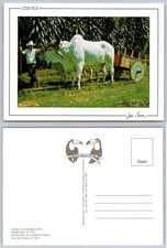 Postal de granjero de Costa Rica con carro de buey Boyero Carreta Tipica Jean Mercier