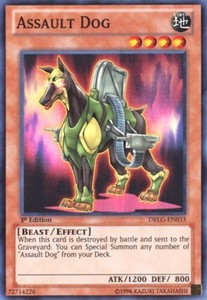 Assault Dog - DRLG-EN033 - Super Rare - 1st Edition x3 - Near Mint