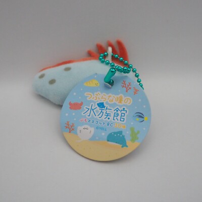 Tsuburana hitomi D1201C Eel Moray YELL 2.5