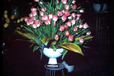 35mm Colour Slide- Comtesse de Bouchaud Flowers in Vase  1963  USA