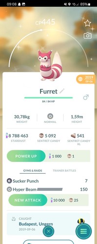 Shiny Furret ( Sentret Evolution ) Pokemon Trade Go