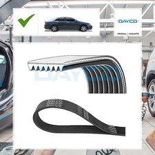 Keilrippenriemen Dayco für Honda Accord VII CL, CN 2.0 (CL7)