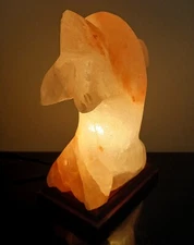 XL Himalayan Salt Lamp Dolphin Carving Large Salt Light Natural Salt Stone 6lbs 