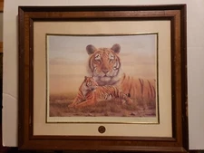 Rob Mcintosh Bengal Tiger Framed Matted Print Signed COA Smithsonian Institution