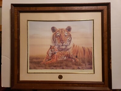 Rob Mcintosh Bengal Tiger Framed Matted Print Signed COA Smithsonian Institution