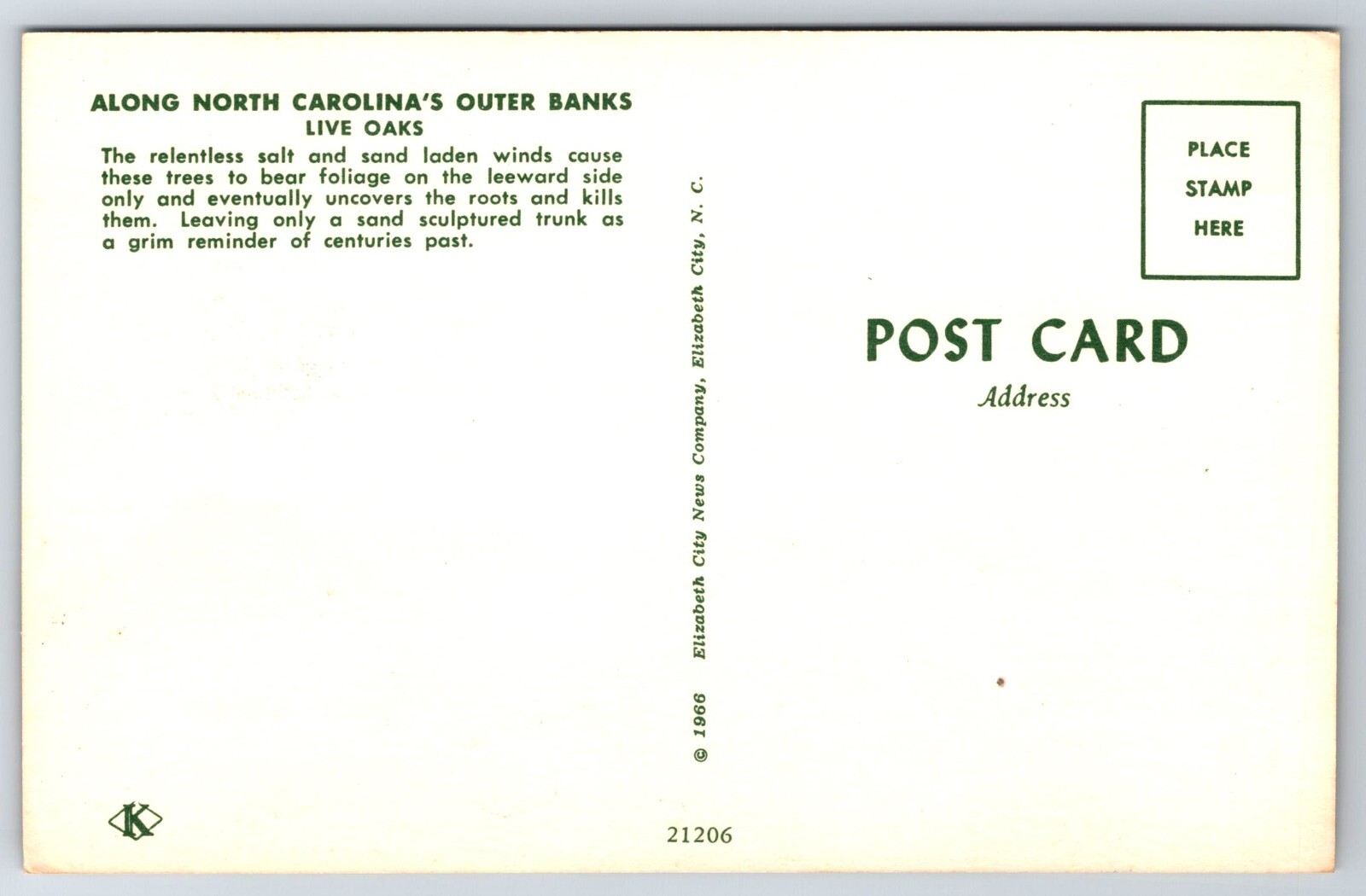 Vintage Postcard North Carolina Outer Banks Live Oaks | eBay
