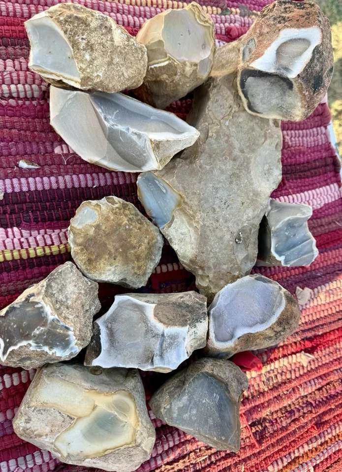 LOTE DE CHERT/PIDERNAL DE ALTA CALIDAD* 12 piezas~16,7# “Edward’s Plateau” Texas Chert Foto 2 de 4