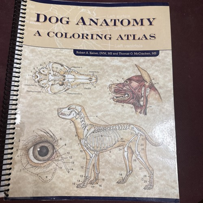 #ad Dog Anatomy : A Coloring Atlas by Robert A. Kainer and Thomas O. McCracken... $21.37