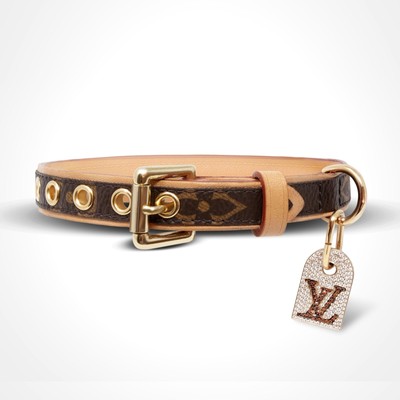 louis vuitton dog collar and lead