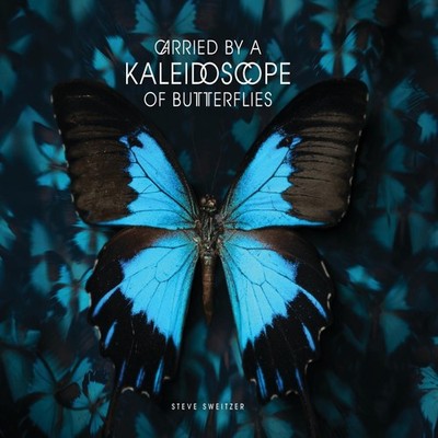 Carried by a Kaleidoscope of Butterflies Steve Sweitzer Hardcover