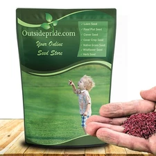 50 LBS - OptiGrowth Coated Showtime grass seed mix of fine fescue, Kentucky
