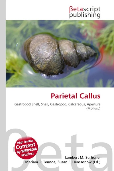 Lambert M. Surhone (U. A.) | Parietal Callus | Taschenbuch | Englisch (2026)-image