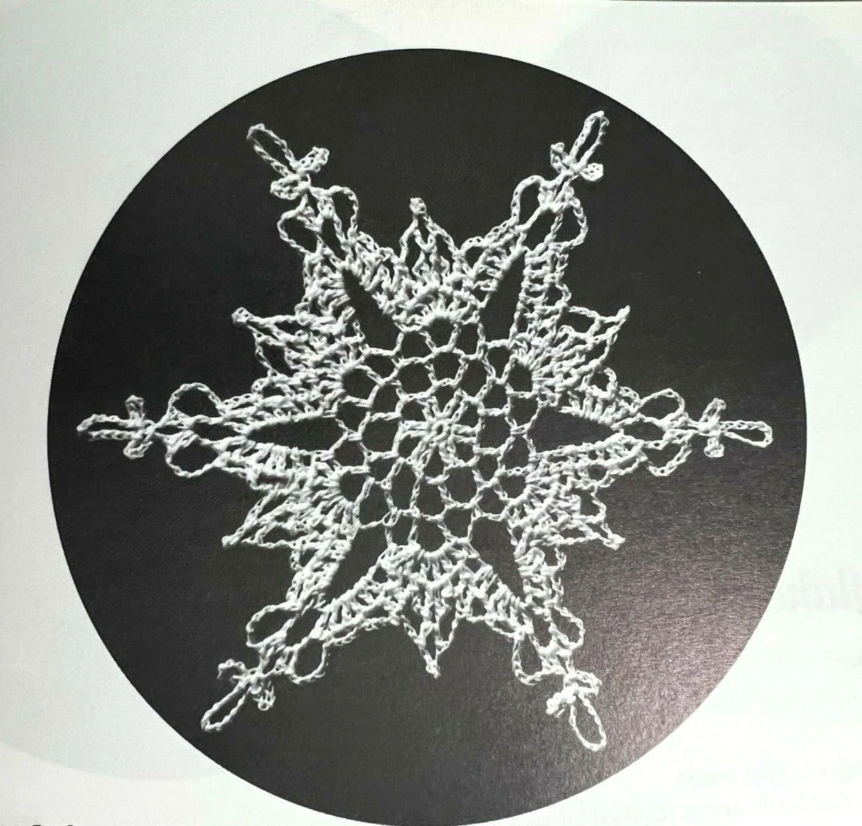 Picture 3 of 23