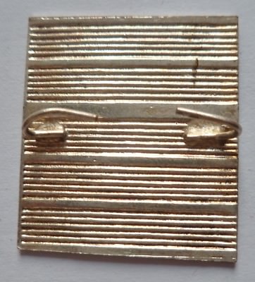 Galon De Calot Légion Étrangère – Grade Colonel, Arme Cavalerie, Argent, 1945-50