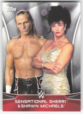 2016 WWE Divas Revolution Power Couples Sensational Sherri Shawn Michaels #4