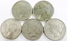 *MIXED DATE PEACE DOLLAR LOT* *5 COINS* NR #P2956