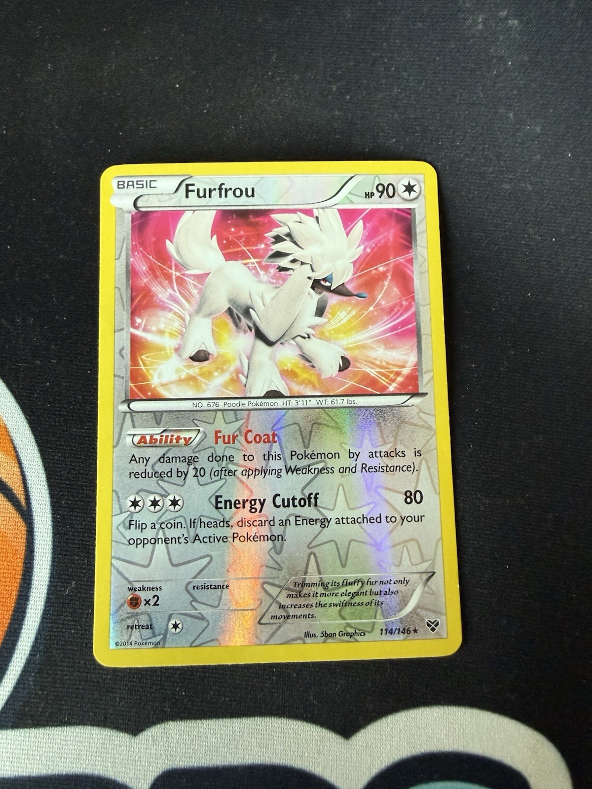 Pokemon - Furfrou #114/146 - XY Base Set Reverse Holo