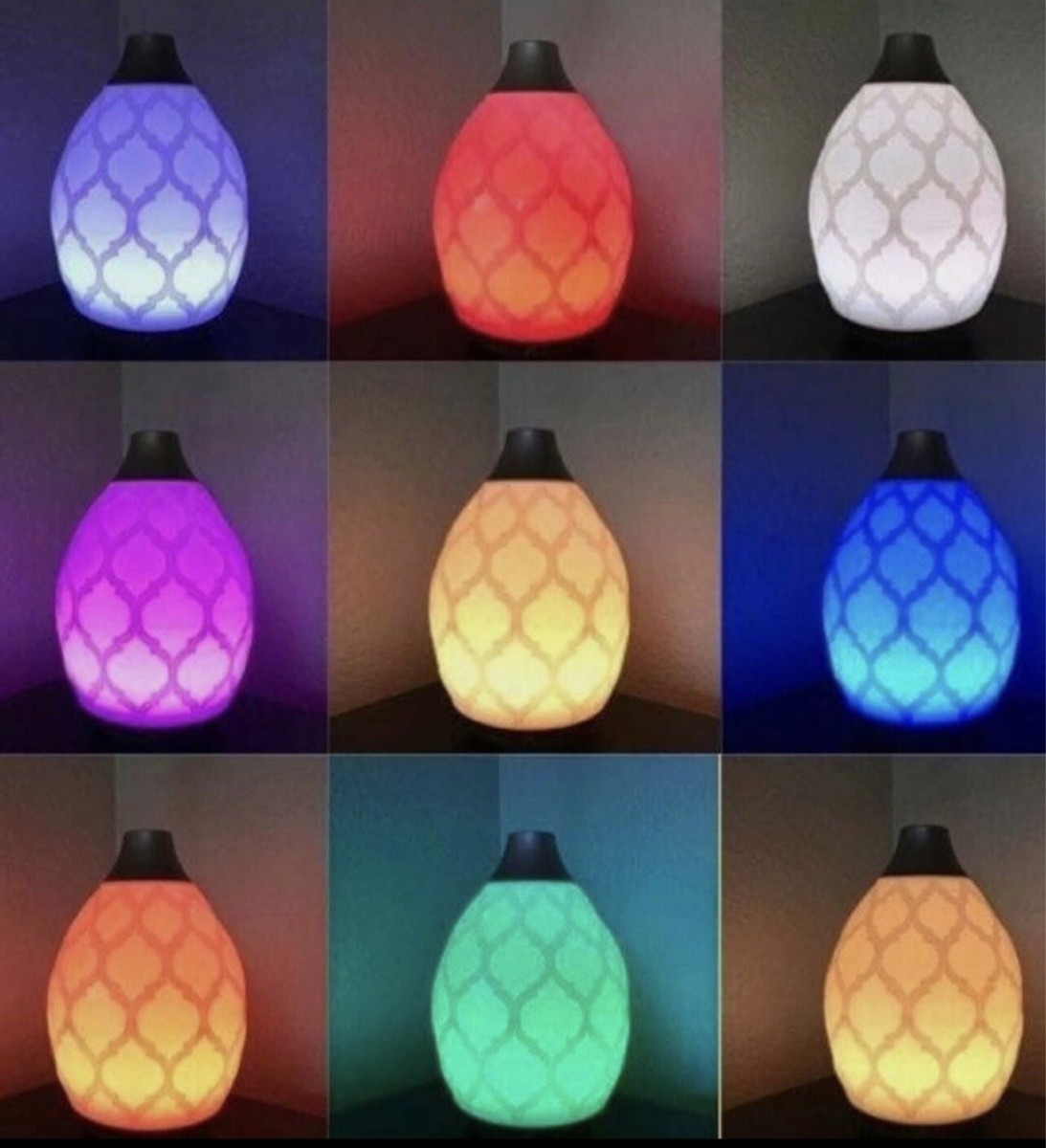 Young Living Desert Mist Diffuser (New) w/15mL Peppermint Oil | eBay