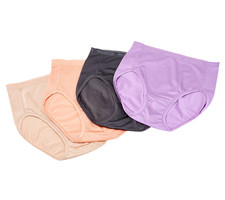 Breezies Women's 4-pack Nylon Microfiber Hi-Cut Panty Purple Iris