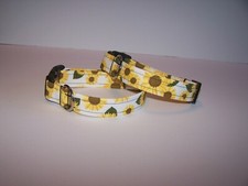 Wet Nose Designs Sunshine Day Dog Collar Sunflowers on White Sunflower Fall