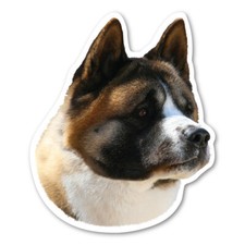 Akita Magnet