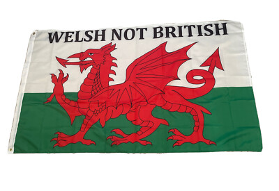 NEU Wales Flagge 5 Fuß mal 3 Fuß - walisisch nicht britisch kariert Cymru walisische Nationalpartei