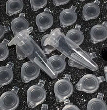 Focuslight FAC lens for laser diodes Fast Axis Collimation lens 790-990nm, 808nm