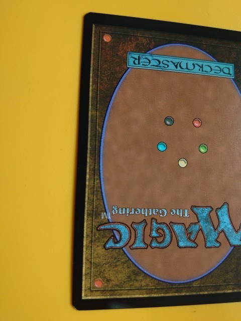 Bild 11 von 12