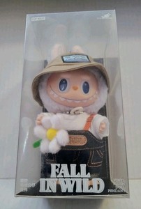 Labubu Fall in Wild | eBay