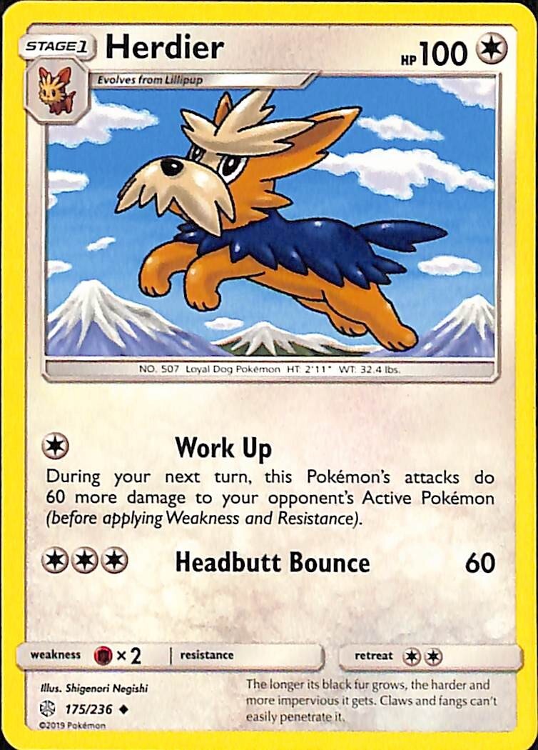 Herdier 175/236 Cosmic Eclipse NM Regular Uncommon Pokemon Card