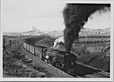 Vintage Union Pacific Railroad 3984 Steam Locomotive 5" x 7" Real Photo T2-457
