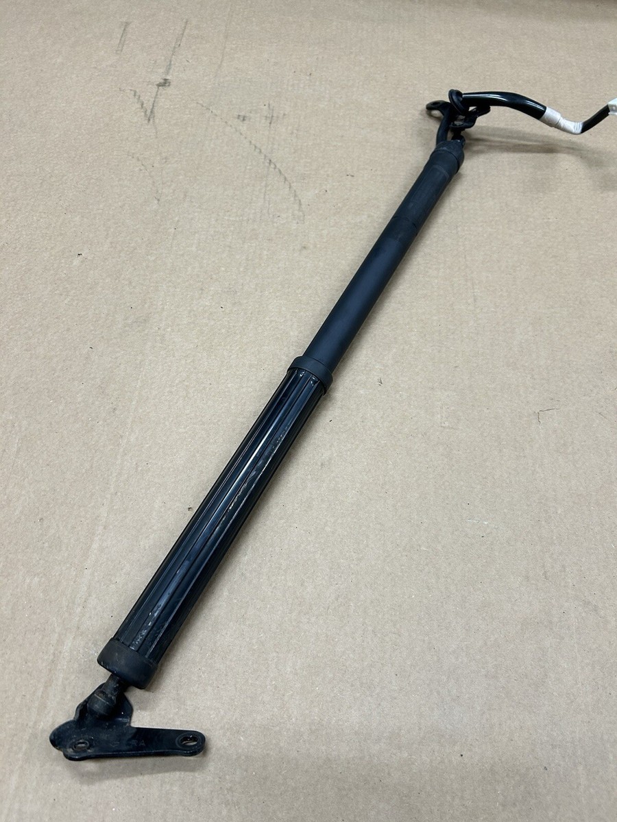 3点セット　gsnxf56 Amazon.com: X AUTOHAUX Rear Left Right Tailgate Power Lift