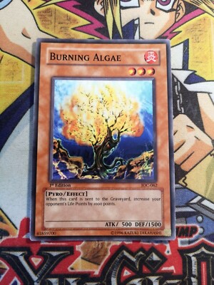 Brennende Algen ioc-062 1. Auflage (NM) Common Yu-Gi-Oh!
