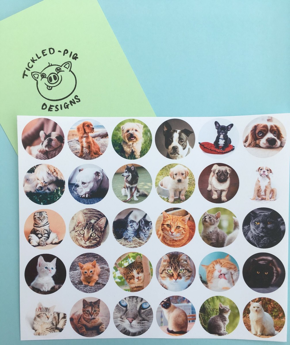 Freestyle Libre Sensor Stickers x6 Cats and dogs