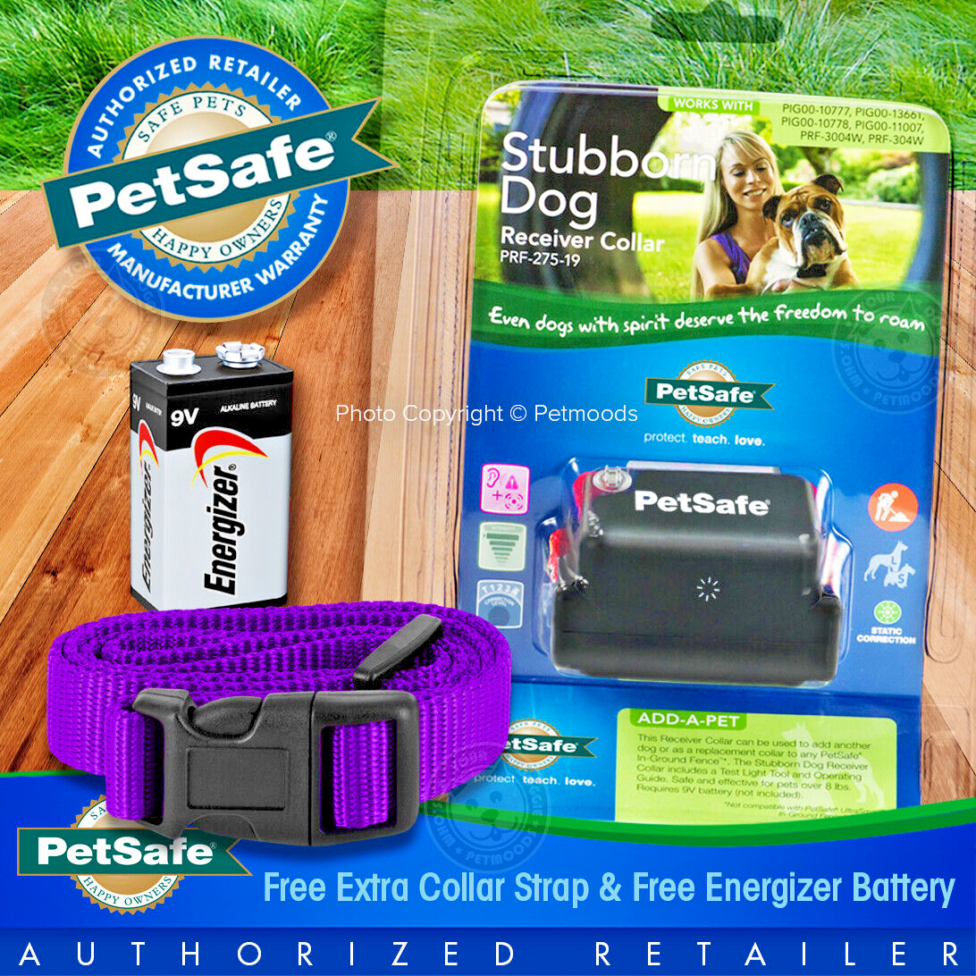 Underground Dog Fence System SportDOG Receiver Collar For SDF 100A