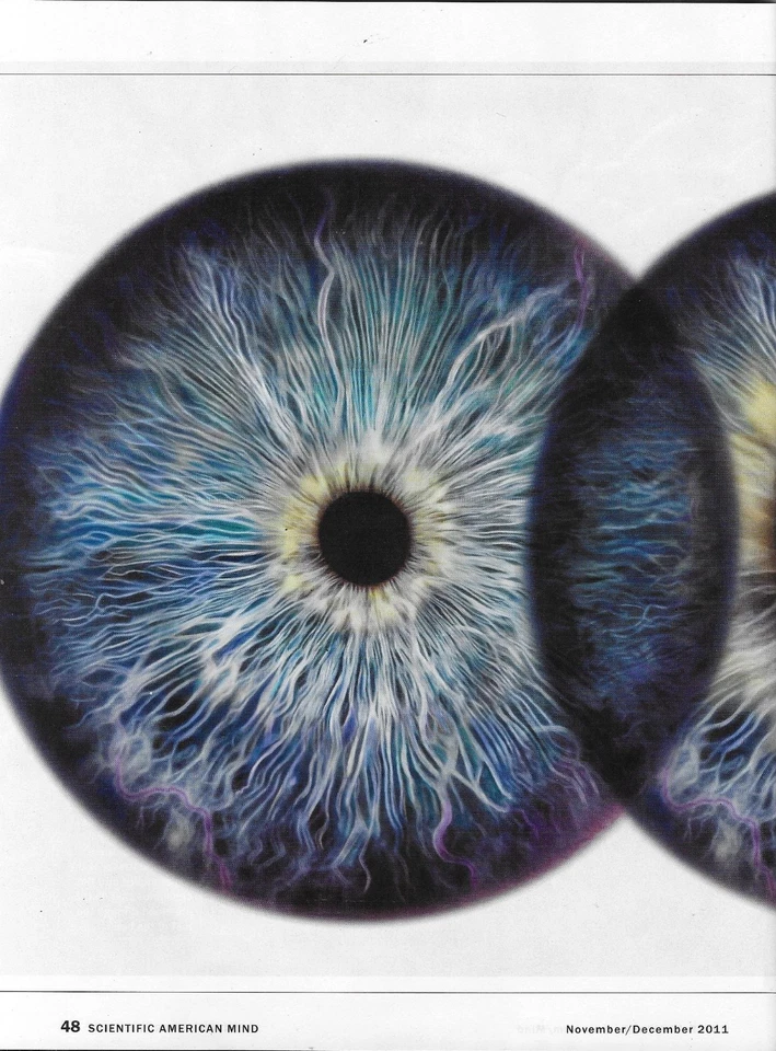 Scientific American Mind Magazine Dreams and Ideas Leadership Fiction Glances Foto 4 de 4