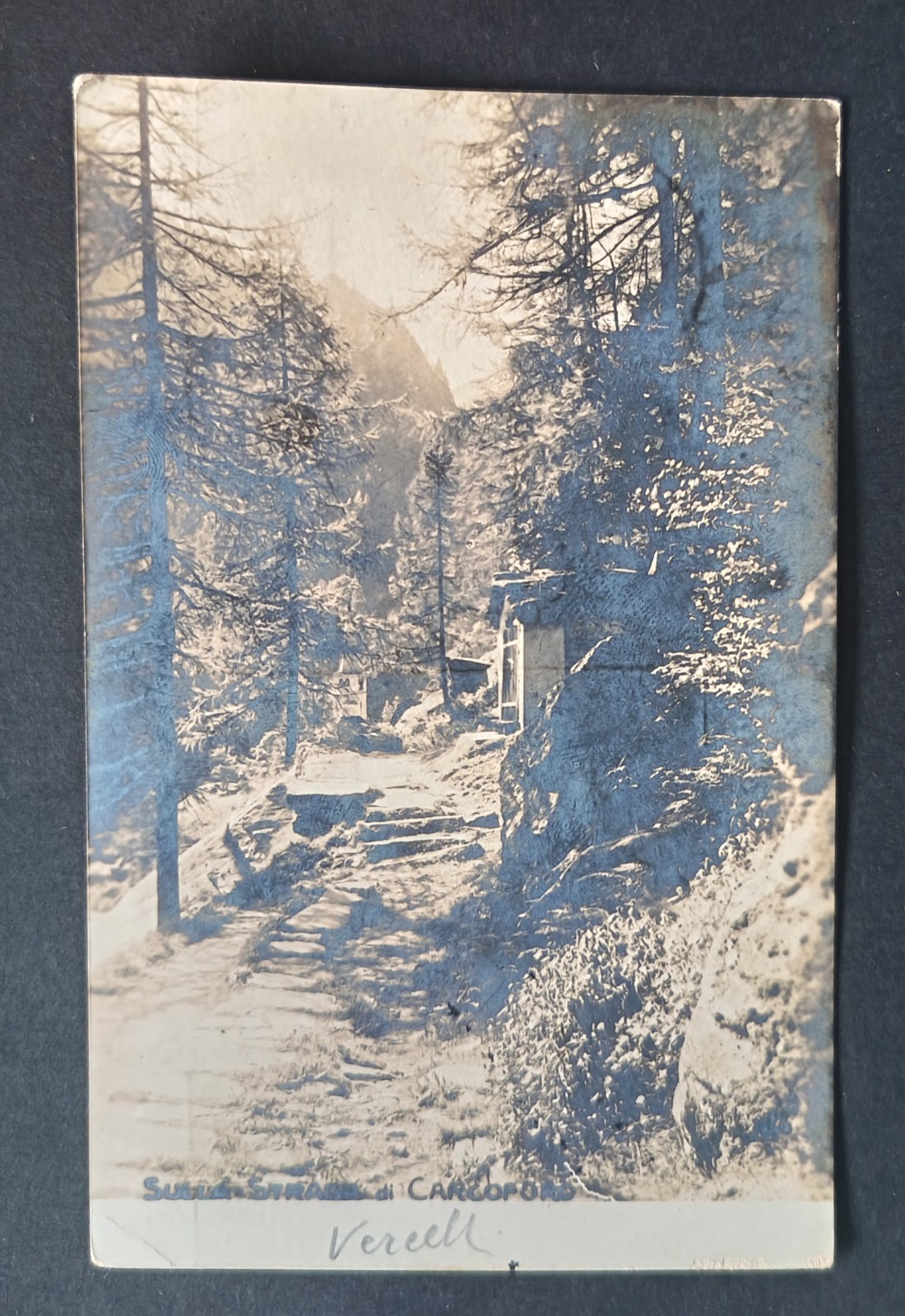 SULLA STRADA DI CARCOFORO VERCELLI CARTOLINA FOTOGRAFICA RARA VAL D'EGUA BOSCO