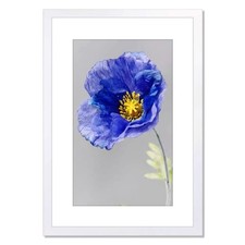 VNVNK 20x28 Frame White, Perfect for 20x28 Inch Picture without Mat or 16x24 ...