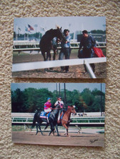 4X6 PHOTOS OF 1986 PREAKNESS WINNER SNOW CHIEF! JERSEY DERBY GARDEN STATE PARK!