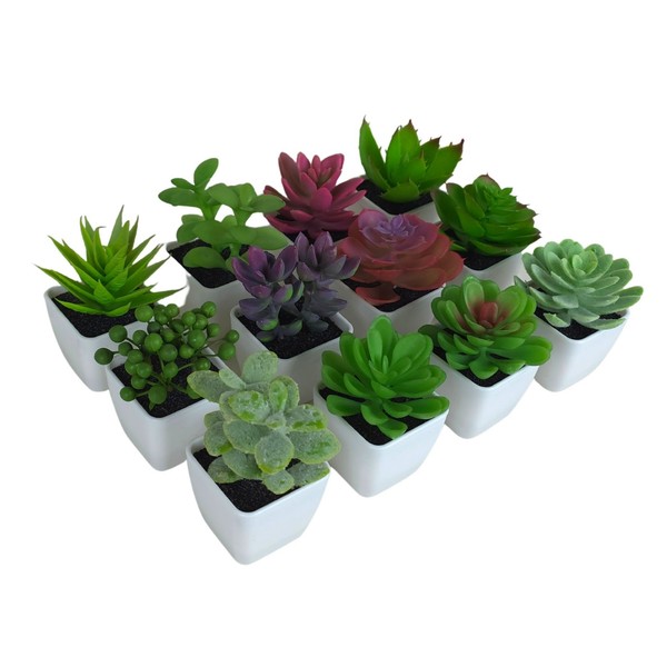 KüNstliche Sukkulenten 12Er Set, Mini Kunstpflanzen Im Keramiktopf, Dekoblumen-image