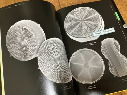 The Amazing World of Diatoms Photobook Visual Book - 第 5/7 張圖片