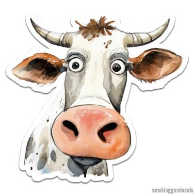 Funny Cow, Vinyl Decal Sticker, Indoor Outdoor, 3 Sizes, #12474