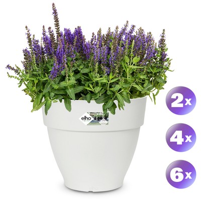GARDEBRUK® Sets de pots de fleurs vibia campana Blanc 30x25cm Cache-pot ...