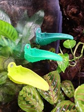 Frog Pools- 3D Printed Breeding Pool for Dart Frogs and Small Reptiles
